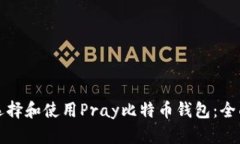 如何选择和使用Pray比特币钱包：全面指南