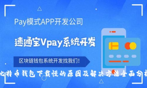 比特币钱包下载慢的原因及解决方法全面分析