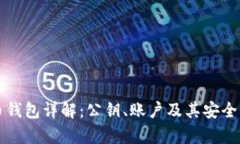 比特币钱包详解:公钥、账户及其安全性分析