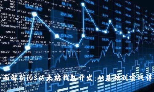 全面解析iOS以太坊钱包开发:从基础到实战详解