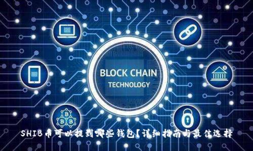 SHIB币可以提到哪些钱包?详细指南与最佳选择