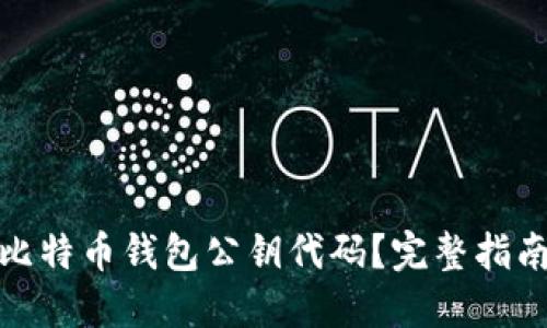 : 如何理解比特币钱包公钥代码?完整指南与实用技巧
