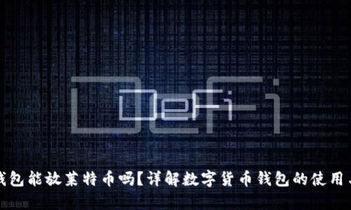 比特币钱包能放莱特币吗？详解数字货币钱包的使用与兼容性