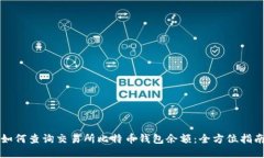 如何查询交易所比特币钱包余额:全方位指南
