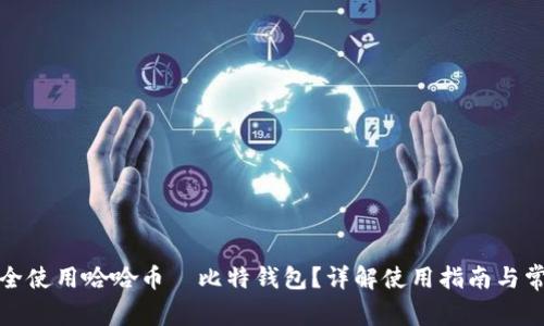 如何安全使用哈哈币犇比特钱包？详解使用指南与常见问题