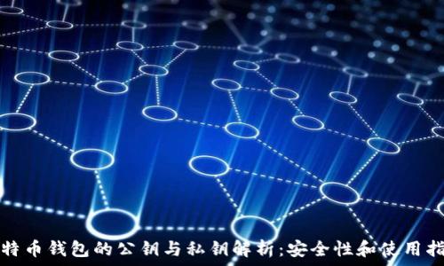 比特币钱包的公钥与私钥解析:安全性和使用指南