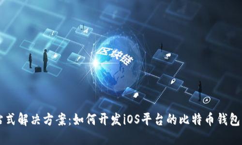 一站式解决方案:如何开发iOS平台的比特币钱包应用