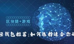 比特币轻钱包推荐:如何选择适合你的轻钱包