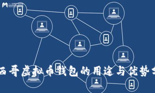 墨西哥虚拟币钱包的用途与优势分析