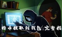 如何将比特币提取到钱包:完整指南与技巧