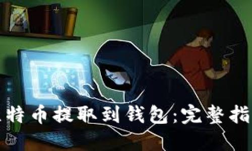 如何将比特币提取到钱包:完整指南与技巧