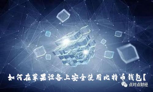 如何在苹果设备上安全使用比特币钱包?