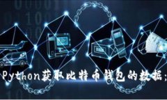 如何使用Python获取比特币钱包的数据:完整指南