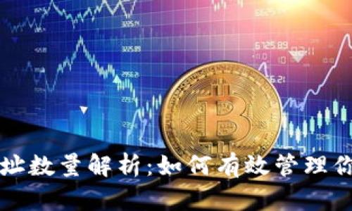 比特币钱包地址数量解析:如何有效管理你的比特币资产
