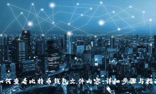 如何查看比特币钱包文件内容:详细步骤与指南