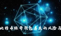 如何应对比特币账号钱包丢失的风险与补救措施