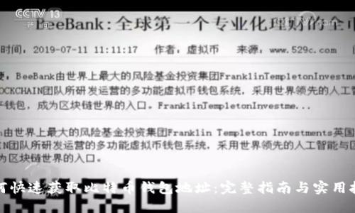 如何快速获取比特币钱包地址:完整指南与实用技巧