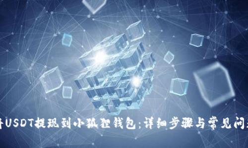 如何将USDT提现到小狐狸钱包:详细步骤与常见问题解答