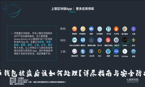 瑞波币钱包被盗后该如何处理？详尽指南与安全防护措施