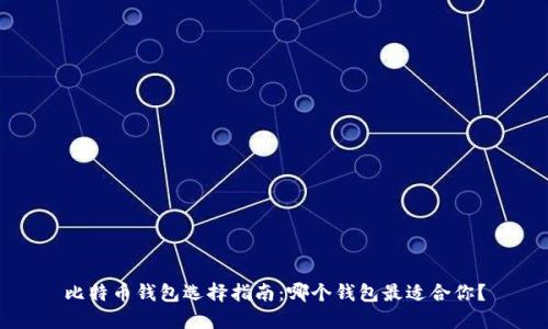 比特币钱包选择指南：哪个钱包最适合你？