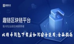 比特币钱包下载后如何安全使用:全面指南