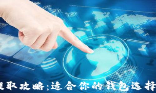 USDT提取攻略:适合你的钱包选择全解析