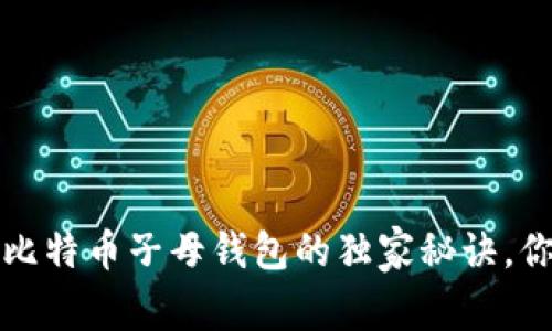 专家揭秘:比特币子母钱包的独家秘诀,你必须知道!