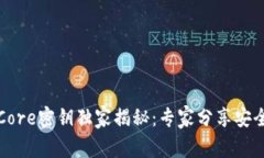 比特币钱包Core密钥独家揭秘：专家分享安全保存
