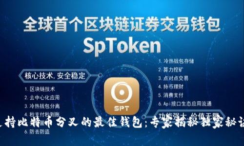 支持比特币分叉的最佳钱包：专家揭秘独家秘诀！