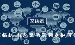 专家独家揭秘:钱包里的狗狗币如何快速提现?