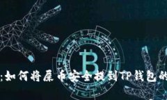 专家揭秘:如何将屎币安全提到TP钱包的独家秘诀