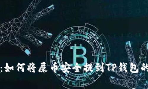 专家揭秘:如何将屎币安全提到TP钱包的独家秘诀