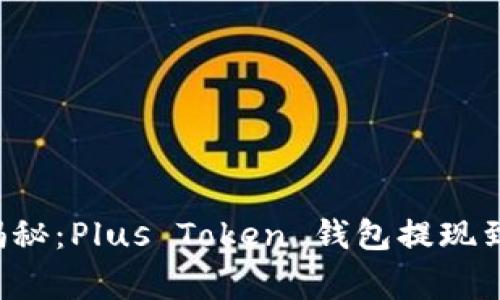 专家独家揭秘:Plus Token 钱包提现到底难不难?