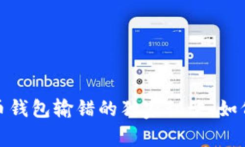 专家揭秘:比特币钱包输错的独家秘诀,如何避免资金损失?