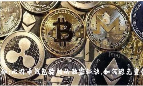 专家揭秘:比特币钱包输错的独家秘诀,如何避免资金损失?