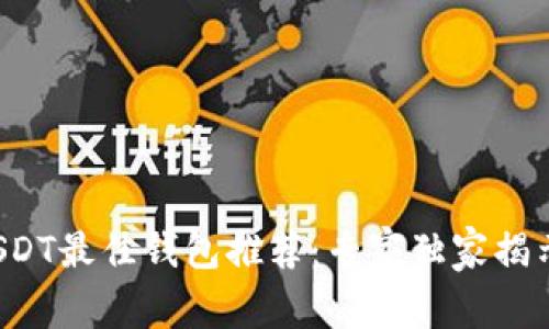 2023年USDT最佳钱包推荐：专家独家揭示安全秘笈