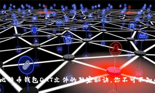 专家解读：比特币钱包DAT文件的独家秘诀，你不可不知的安全知识
