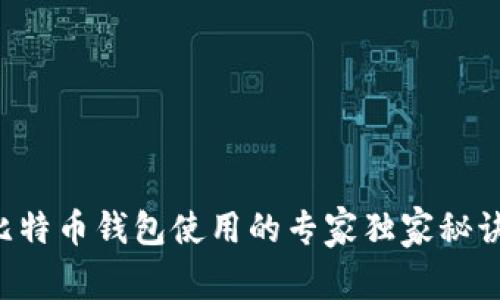 比特币钱包使用的专家独家秘诀!