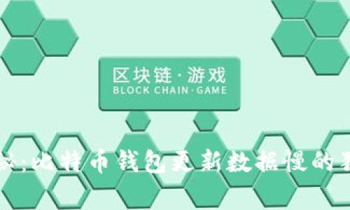 专家揭秘:比特币钱包更新数据慢的独家秘诀