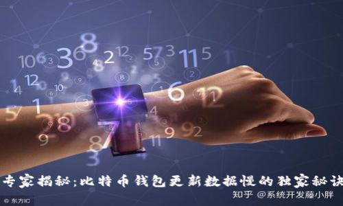 专家揭秘:比特币钱包更新数据慢的独家秘诀