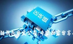 揭秘区块链钱包开发公司：专家独家分享成功秘