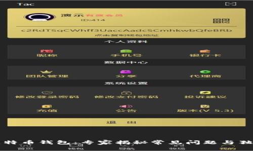飞天诚信比特币钱包:专家揭秘常见问题与独家使用秘诀