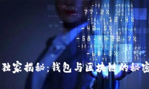 专家独家揭秘:钱包与区块链的秘密关系