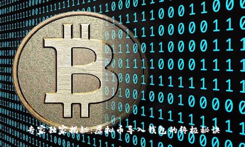 专家独家揭秘:虚拟币导入钱包的终极秘诀