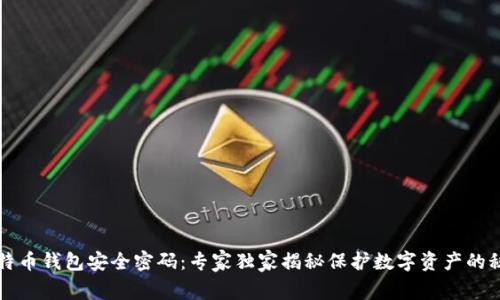 比特币钱包安全密码：专家独家揭秘保护数字资产的秘诀