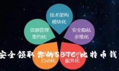 专家揭秘:如何安全领取你的SBTC,比特币钱包必