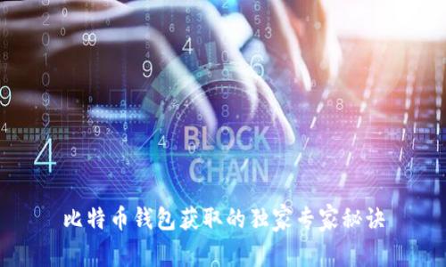 比特币钱包获取的独家专家秘诀