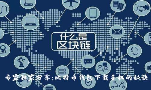 专家独家分享:比特币钱包下载手机的秘诀