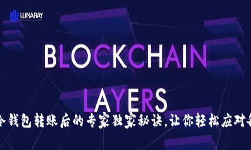 比特币冷钱包转账后的专家独家秘诀,让你轻松应对各种问题