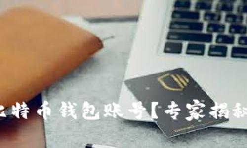 如何拥有比特币钱包账号？专家揭秘独家秘诀！